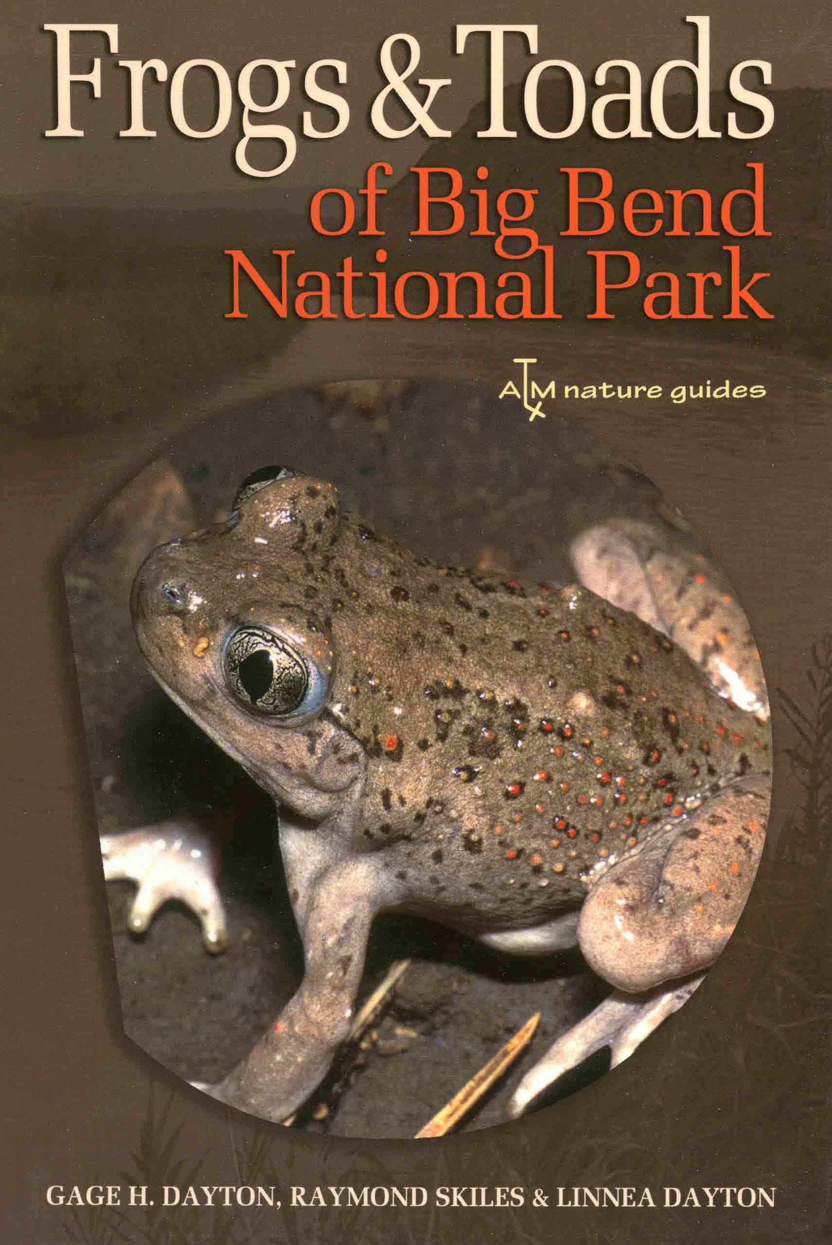 Image for Frogs & Toads of Big Bend National Park,